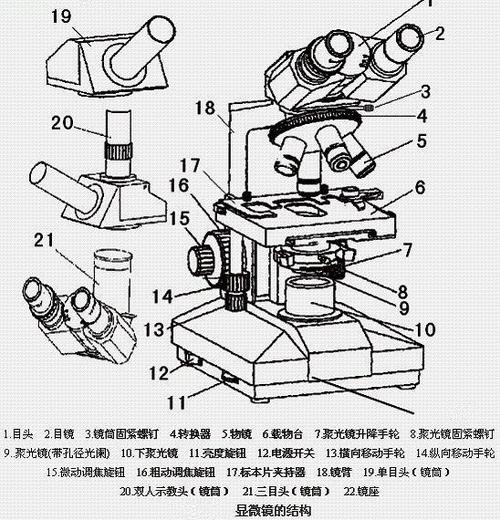 显微镜的使用方法步骤