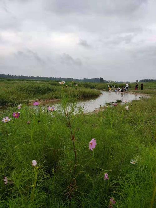 自然风光原生态大清河,生态旅游采摘农家观光园.您想远离宣闹城市吗?