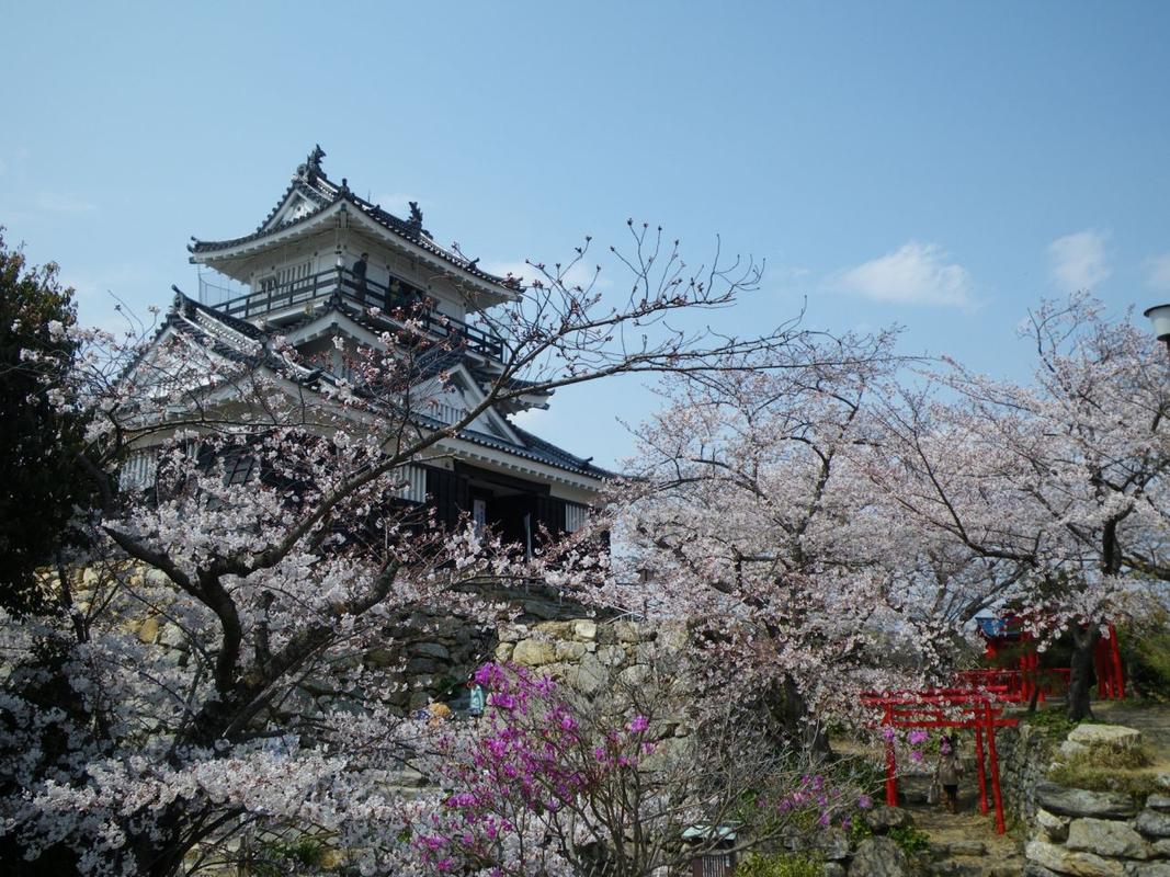 滨松市