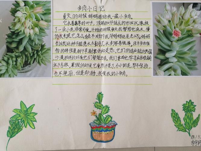 多肉宝宝开花了,真开心!