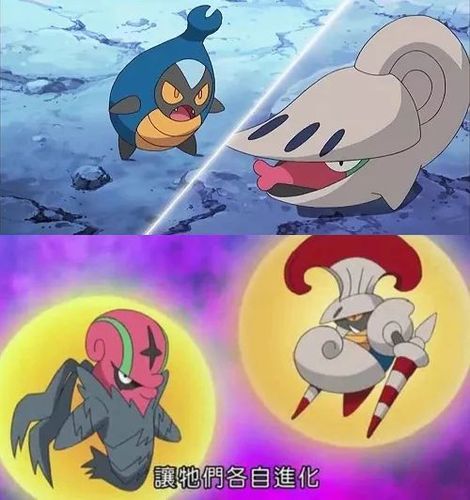 小嘴蜗和盖盖虫的奇特进化方式.或者应该称之为 " 变态 "?