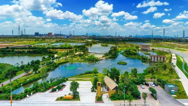 观鸟,是游览银山湿地公园必不可少的主题.