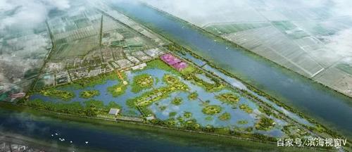 天津又要新增一个休闲好去处 位于北辰区的 5000亩原生态景观 "曙光