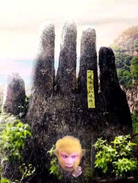 这其实也和菩提祖师有一定的关系,在西游记五指山的领域里,正好是菩提