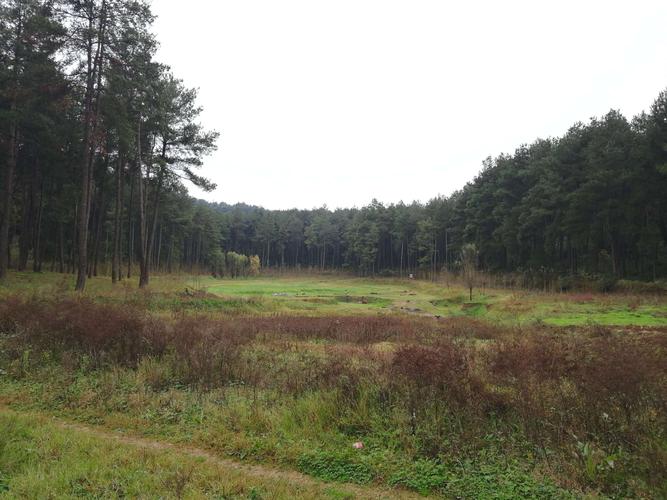 探秘"空中怪车"遗址,徒步都溪林场(长岭坡国家森林公园).
