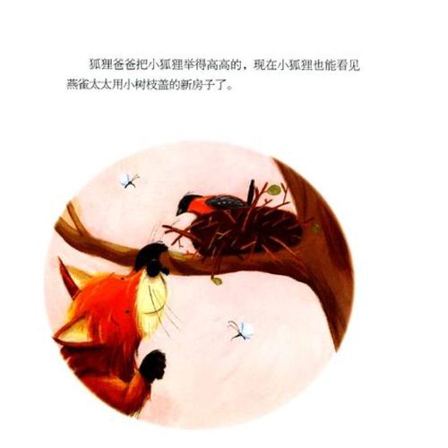 小家大爱:小狐狸的新家