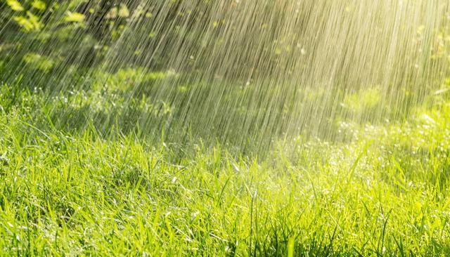 上联:夏风携夏雨(诚邀下联?