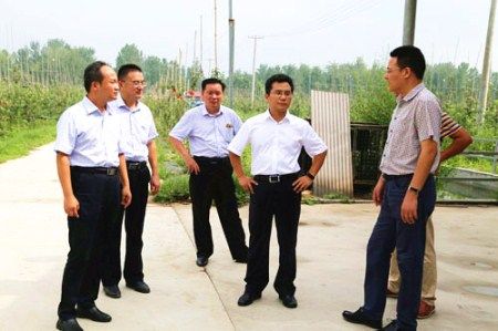 丰县赵庄镇人民政府 - 乡镇动态 - 县委常委鹿飞到镇