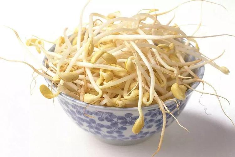 豆芽