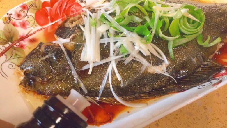 蒸系列★清蒸鲽鱼「经典粤式蒸法」