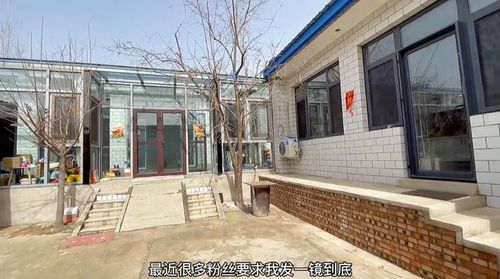 东北大姐花10万爆改农村土平房 吸引10万网友围观