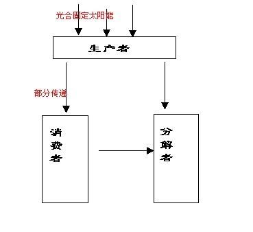生产者,消费者,分解者的关系图