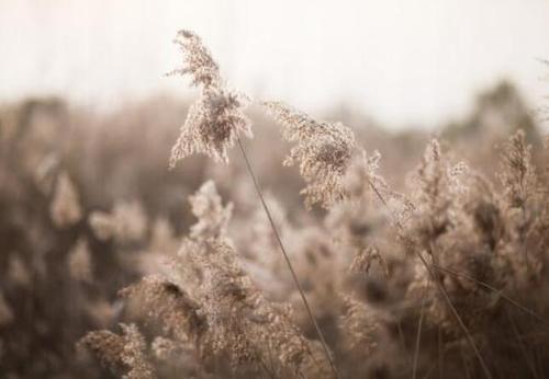 回忆往事的句子