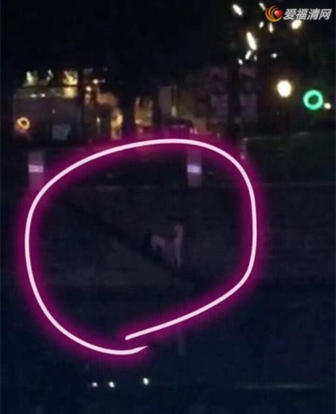 成都九眼桥桥震门醉酒猛女强暴过路男组图