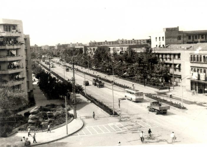 荆州古城论坛乡愁与筑梦――沙市三清观绿化村的变化历史纪录片赵楚辉