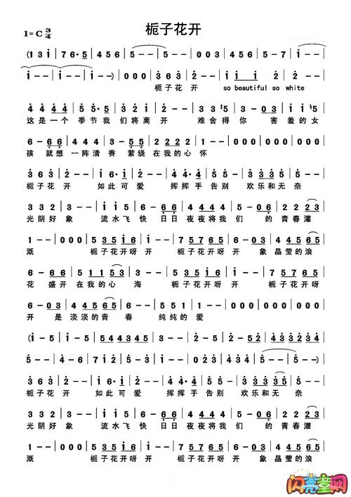 何炅《栀子花开》五线谱简单版
