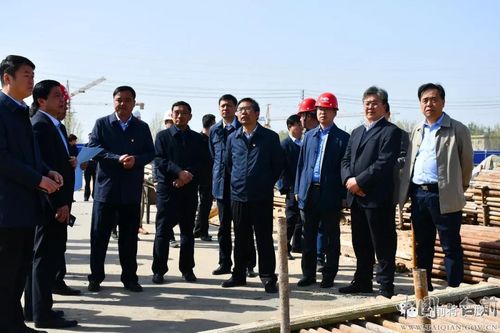 县四大班子领导调研重点项目建设_台前县政府