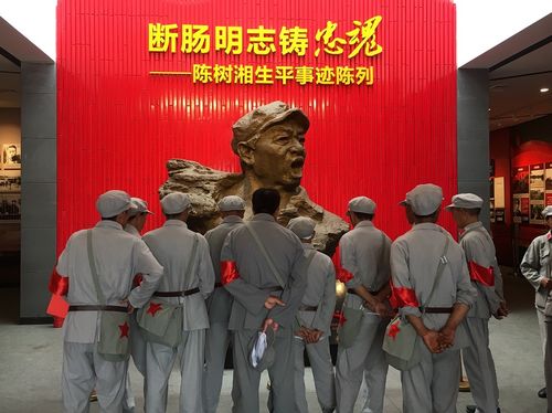 西山瑶族乡盐塘村党支部开展 "不忘初心,牢记使命"主题教育活动