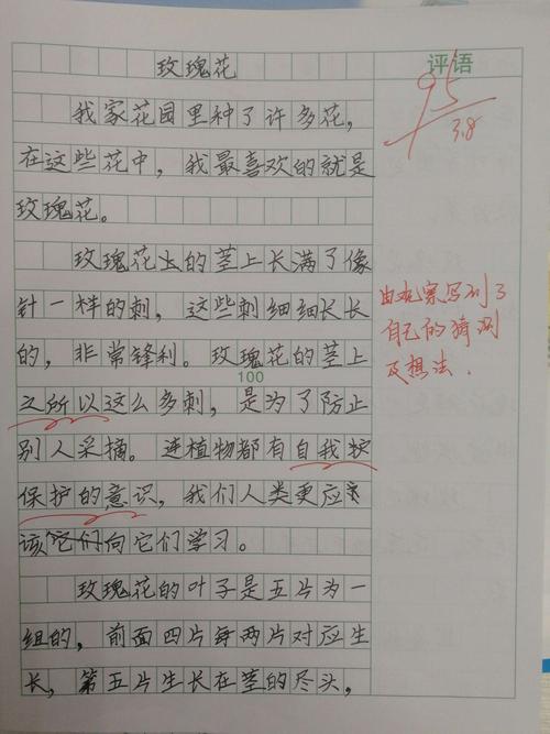 周芷名《玫瑰花》