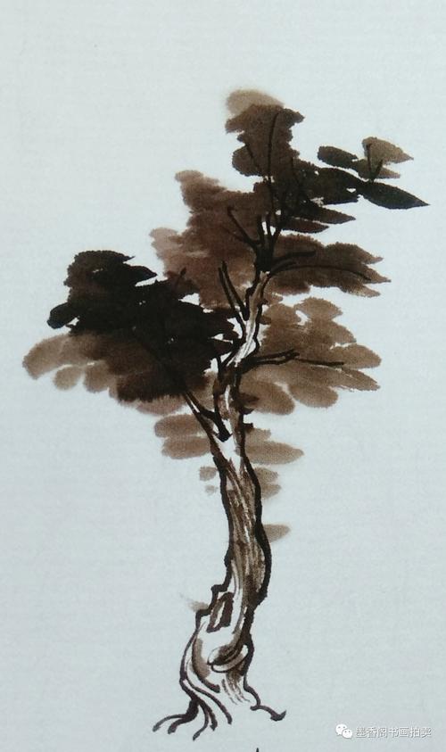 国画入门教学树的画法