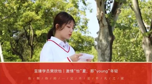 【至臻学员】樊欣怡 | 激情"怡"夏,那"young"年轻
