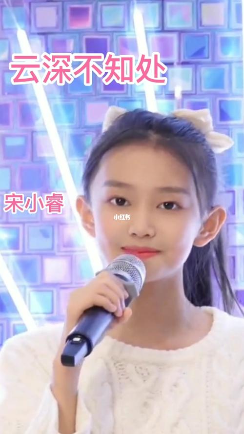 宋小睿《云深不知处》可爱版