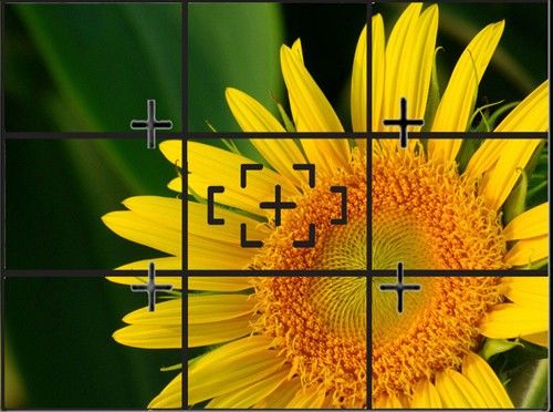 人像拍摄篇   在摄影构图时,我们将画面的横向和纵向平均分成三份