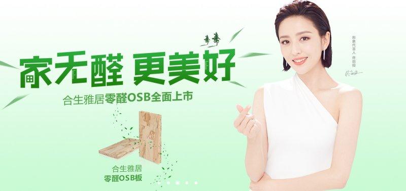 合生雅居代言人是佟丽娅