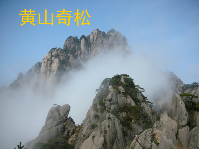 黄山奇松 黄山四绝 暑期黄山旅游 迎客,陪客