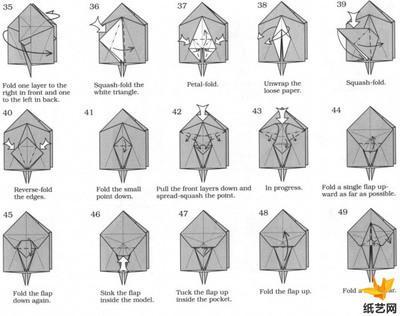 乌贼手工折纸图解教程