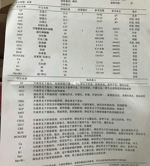 宠物生化指标解析18:胆固醇_宠物_甲状腺_贫血_代谢_肠道_宠物_宠物