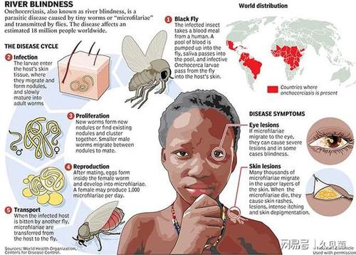 蚊子也能做肉饼非洲传统美食蚊子汉堡蛋白质比牛肉高7倍