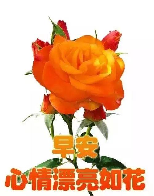 早上好问候语动画表情早安动态图片