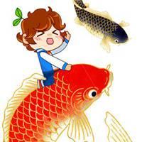 红色锦鲤头像高清红色好运气锦鲤头像图片点击鼠标右键下载