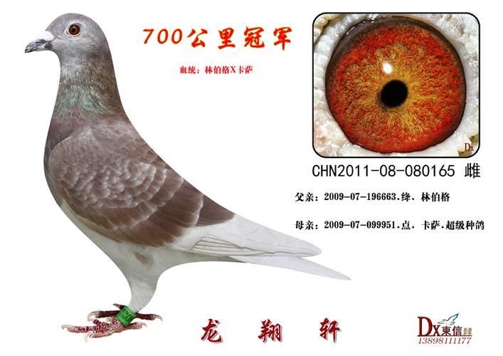 2012年春季哈尔滨市700公里.冠军.