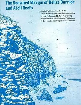 the seaward margin of belize barrier and atoll reefs
