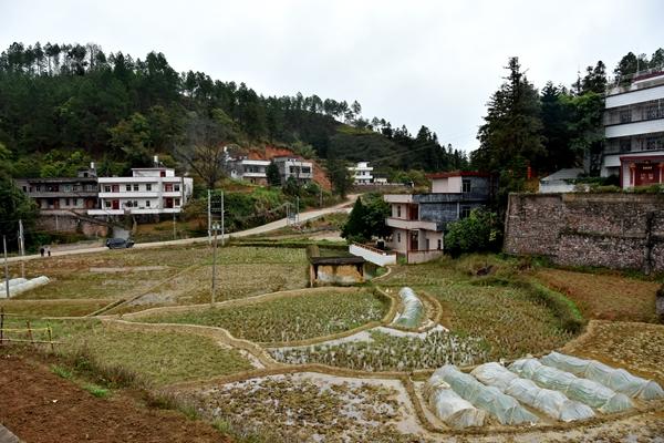 书记李大胜一行车赴河源市龙川县丰稔镇礼堂村指导2017年精准扶贫工作