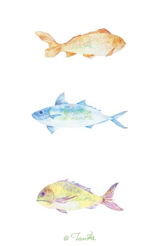 《鱼》水彩手绘插画