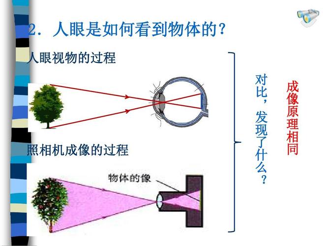 人眼视物的过程 对 比 , 发 现 了 什 么 ?