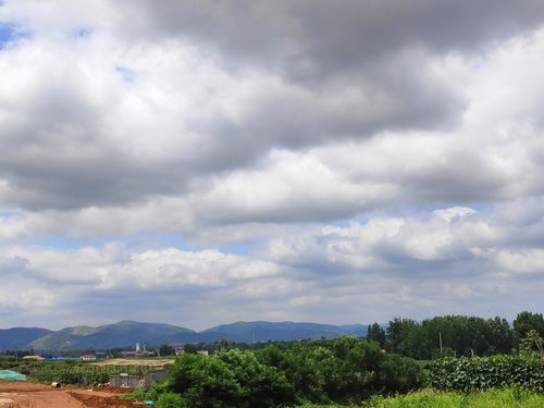 今天6月24日,周三,多云转晴.连续的降雨终于结束,迎来了晴天.