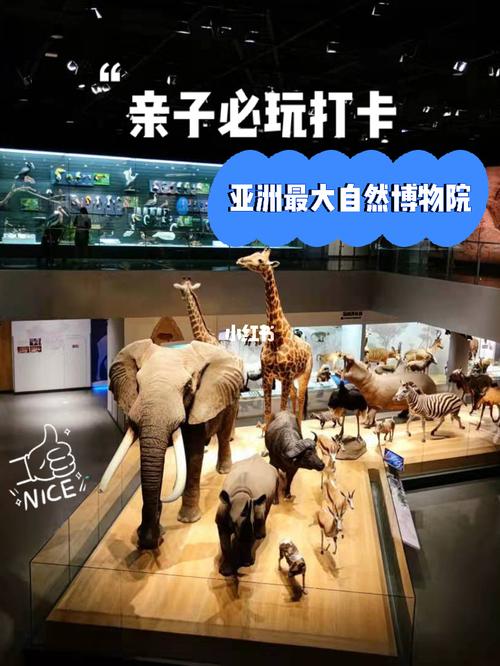 杭州亲子丨亚洲最大自然博物馆,免费好玩!_恐龙_亲子