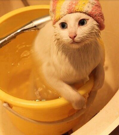 出浴- 堆糖,美图壁纸兴趣社区