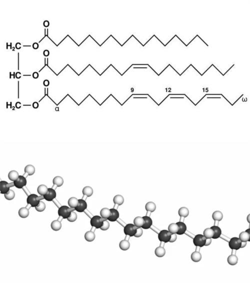 聚乙烯有个很明显的问题,这种薄膜材料的手套是手套中分子密度最疏的