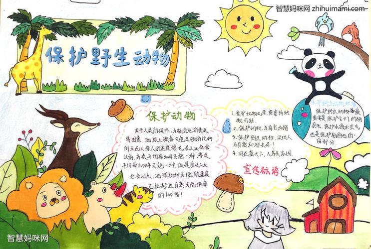 关于保护野生动物的手抄报图片