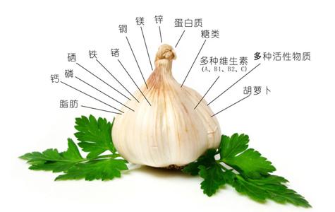 大蒜油的主要营养作用