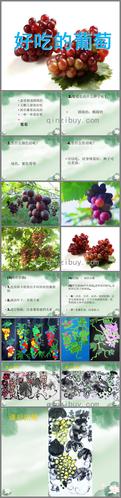 幼儿园创意绘画好吃的葡萄ppt课件