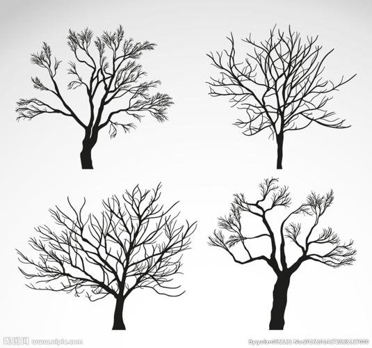 共享分              关 键 词: 冬季 树木 大树 冬天