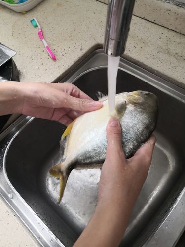 将鱼洗干净