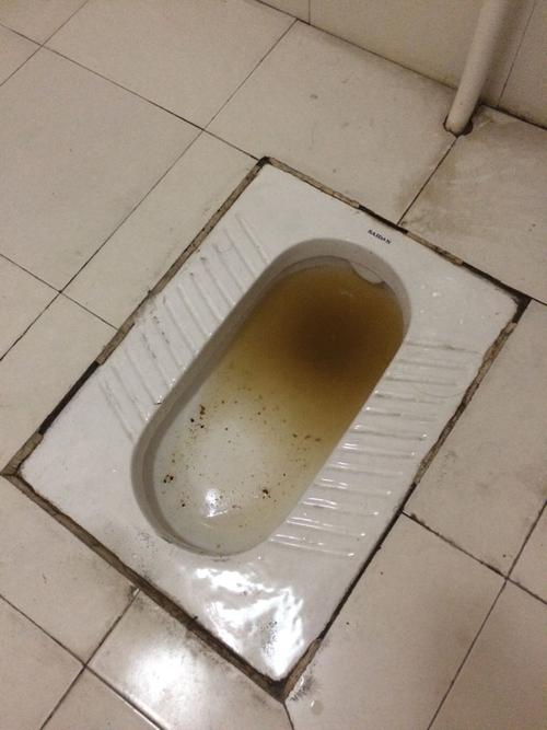 厕所堵了怎么办