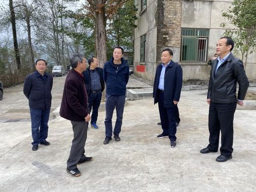 吉安市人大副主任肖兵赴永新督查林长制工作